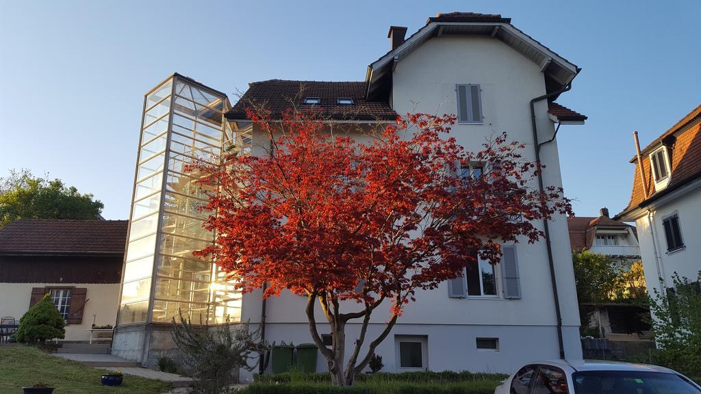 Casa Carmela Hotel Solothurn Exterior photo
